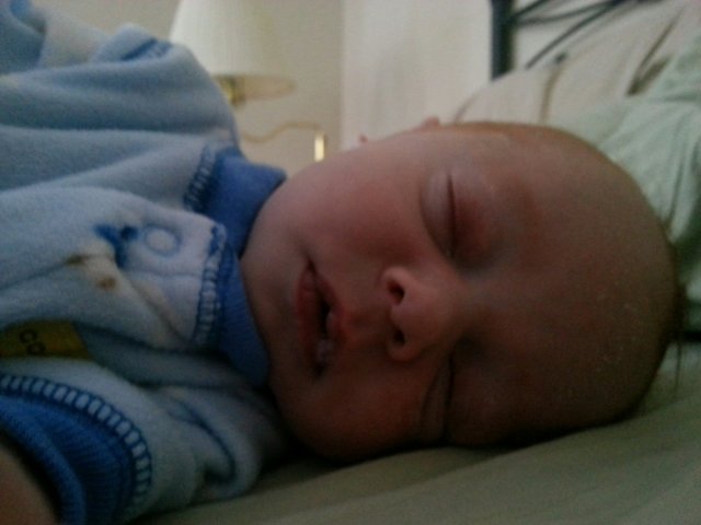 20140210_080650.jpg image