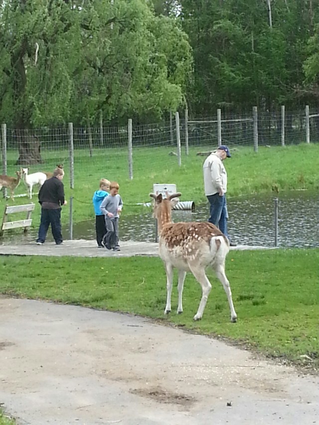 20140517_151101.jpg image