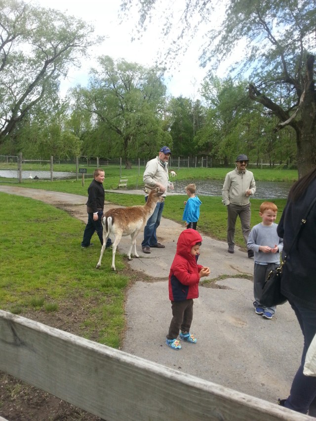 20140517_151624.jpg image