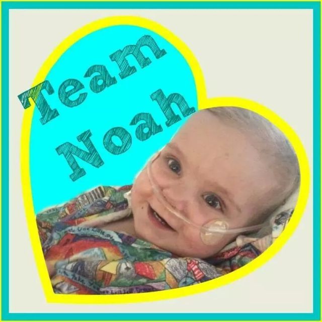 IMG_10965908935430.jpeg image